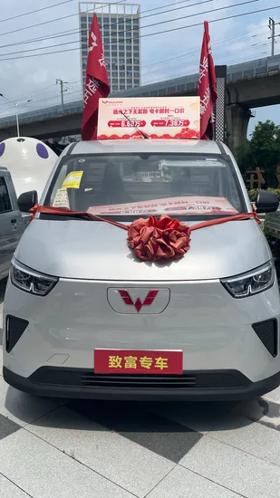 Wuling Yangguang Electric Pickup 2025 Model, Single