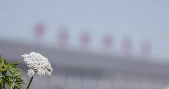 Szy5180xdyd6 Power Sharing Vehicle for Oilfield Power Supply 