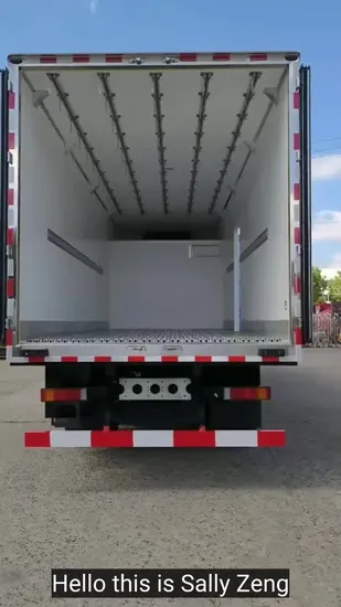 Freezer Truck Foton Ouman Special Vehicle Manufacturer for Cold Chain Transport 